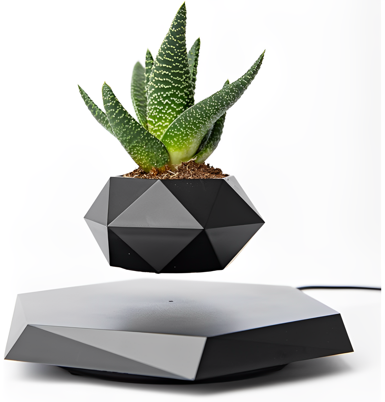 Levitating Magnetic Planter