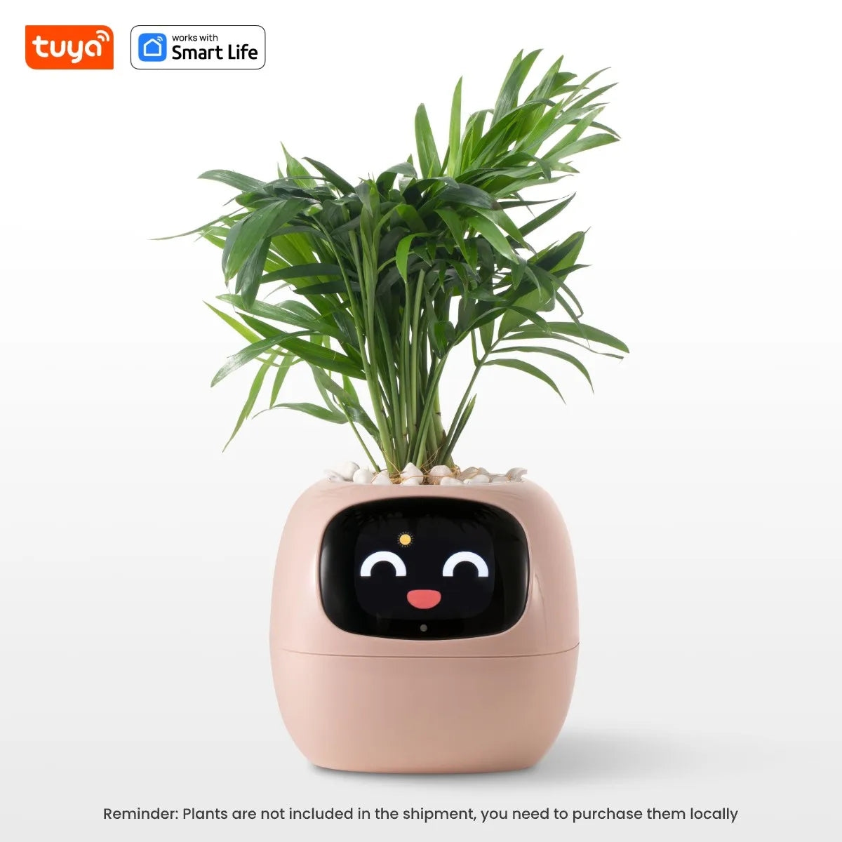 PlantyVibe  - AI Smart Planter