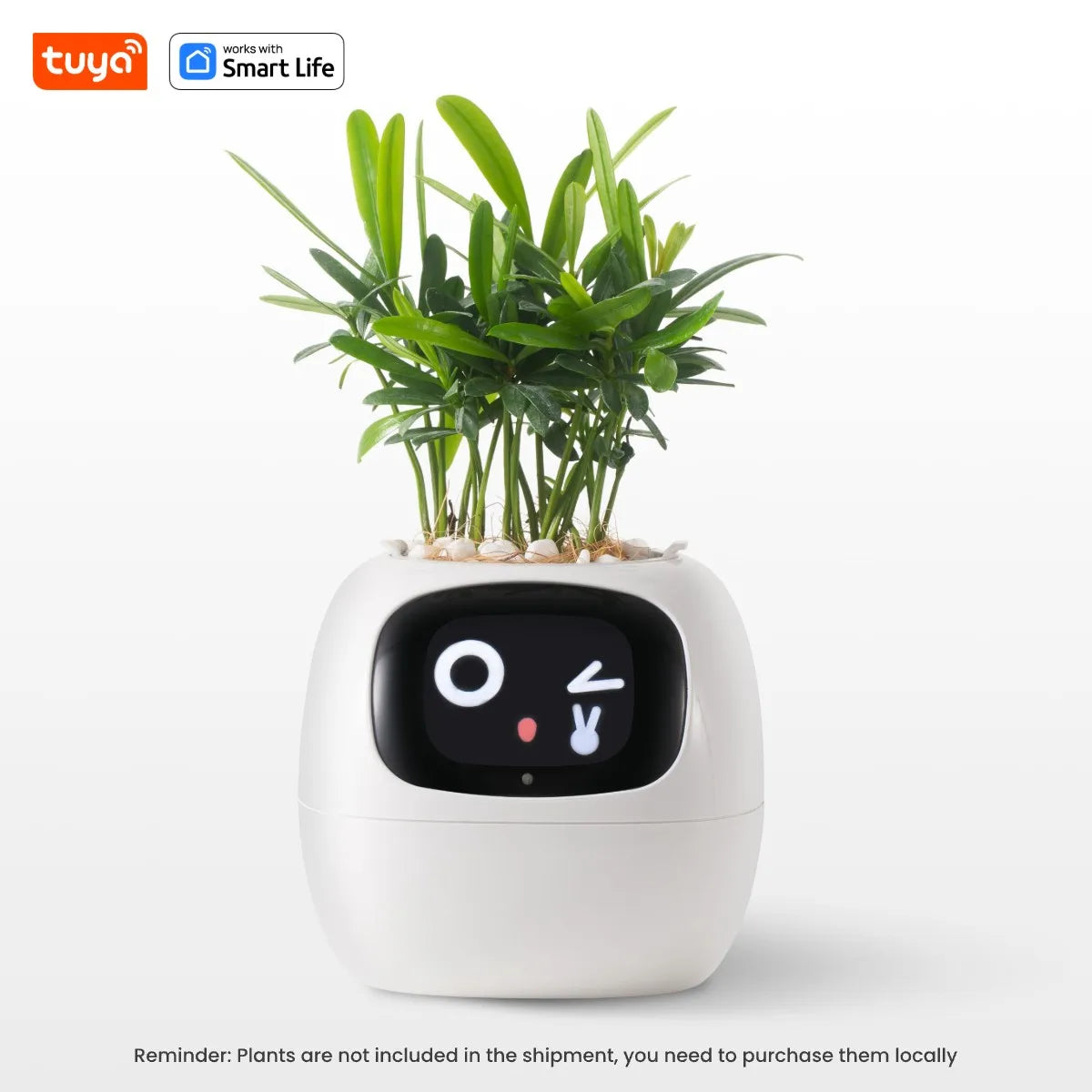 PlantyVibe  - AI Smart Planter