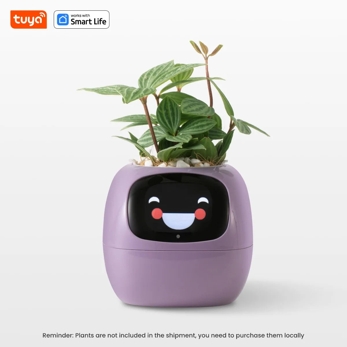 PlantyVibe  - AI Smart Planter