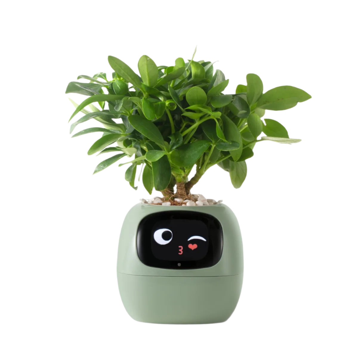 PlantyVibe  - AI Smart Planter